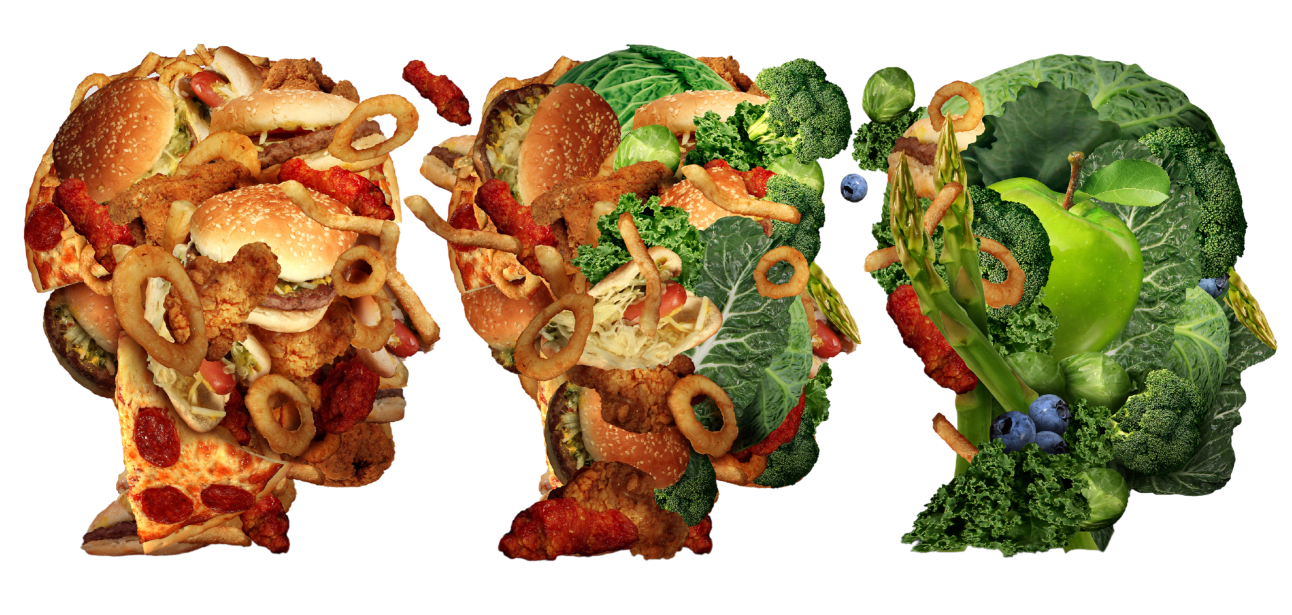 Transitional Diet Transitioning to a plant based diet - All you need to know