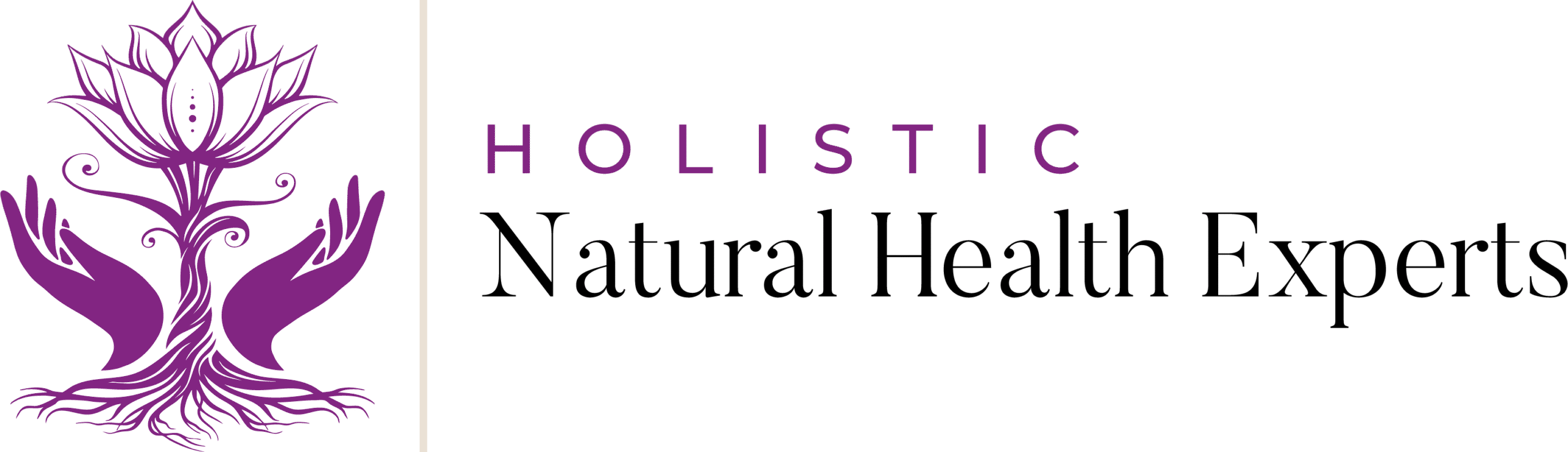 Holistic Natural Health Experts
